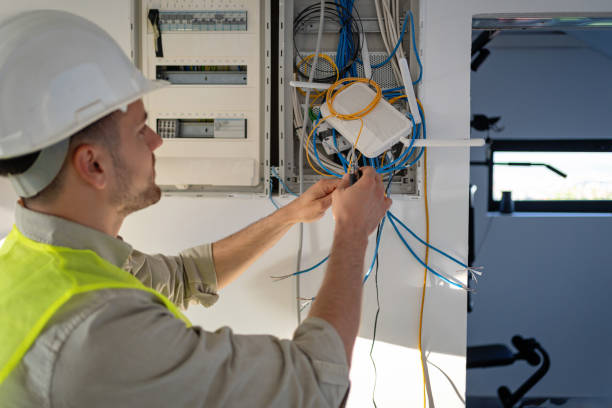 Best Electric Panel Repair  in Mankato, MN